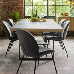 URBIA SPIDEY VELVET DINING CHAIR | SET OF 2 Kitchen + Dining