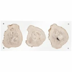 PHILLIPS COLLECTION Wall Sculptures + Decor FLOATING PERTRIFIED TRIPLE SLICE WALL ART
