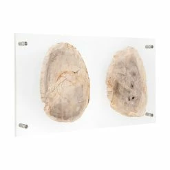 PHILLIPS COLLECTION FLOATING PERTRIFIED DOUBLE SLICE WALL ART Wall Sculptures + Decor