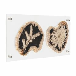 PHILLIPS COLLECTION FLOATING PERTRIFIED DOUBLE SLICE WALL ART Wall Sculptures + Decor