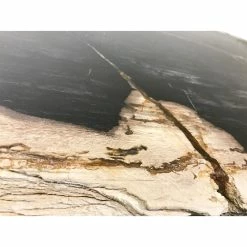 URBIA MASSO PETRIFIED WOOD SLAB COFFEE TABLE: DARK