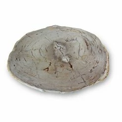 Outlet ๐คฉ URBIA ELIZA PETRIFIED WOOD COFFEE TABLE: LIGHT Furniture ๐ฅ 5 URBIA ELIZA PETRIFIED WOOD COFFEE TABLE: LIGHT Furniture