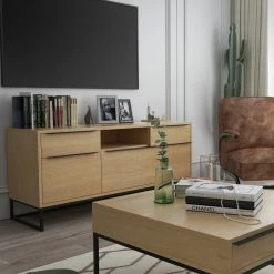 MOES NEVADA MEDIA CABINET