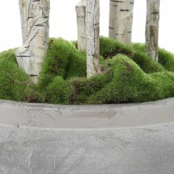 UTTERMOST ALDI POTTED RIVER BIRCH Pillows + Decor