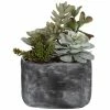 UTTERMOST Pillows + Decor ALVERIO SUCCULENTS