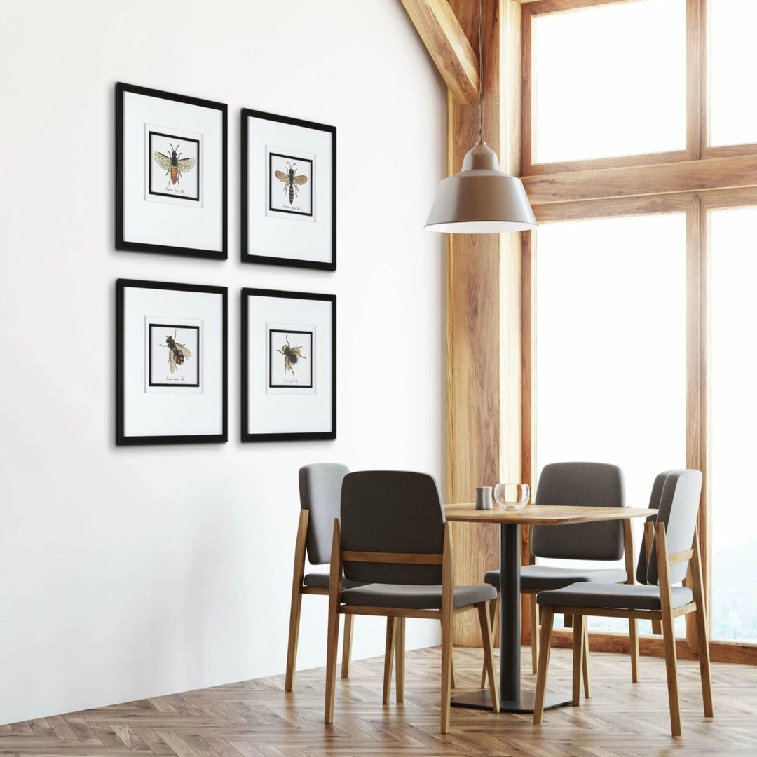 Outlet 🎁 UTTERMOST "ANTHOPHILA" GLASS FRAMED PRINTS | SET OF 4 ✨ 3 UTTERMOST "ANTHOPHILA" GLASS FRAMED PRINTS | SET OF 4