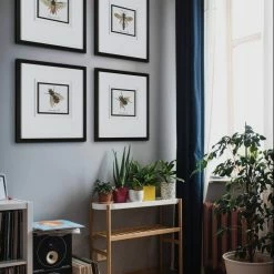 Outlet 🎁 UTTERMOST "ANTHOPHILA" GLASS FRAMED PRINTS | SET OF 4 ✨ 8 UTTERMOST