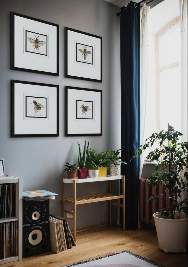 Outlet 🎁 UTTERMOST "ANTHOPHILA" GLASS FRAMED PRINTS | SET OF 4 ✨ 4 UTTERMOST "ANTHOPHILA" GLASS FRAMED PRINTS | SET OF 4