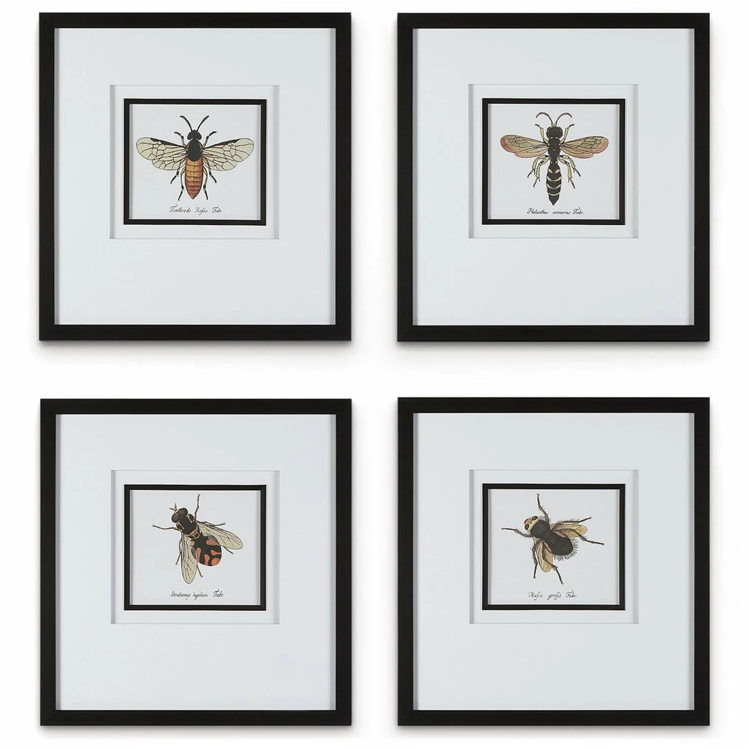 Outlet 🎁 UTTERMOST "ANTHOPHILA" GLASS FRAMED PRINTS | SET OF 4 ✨ 1 UTTERMOST "ANTHOPHILA" GLASS FRAMED PRINTS | SET OF 4
