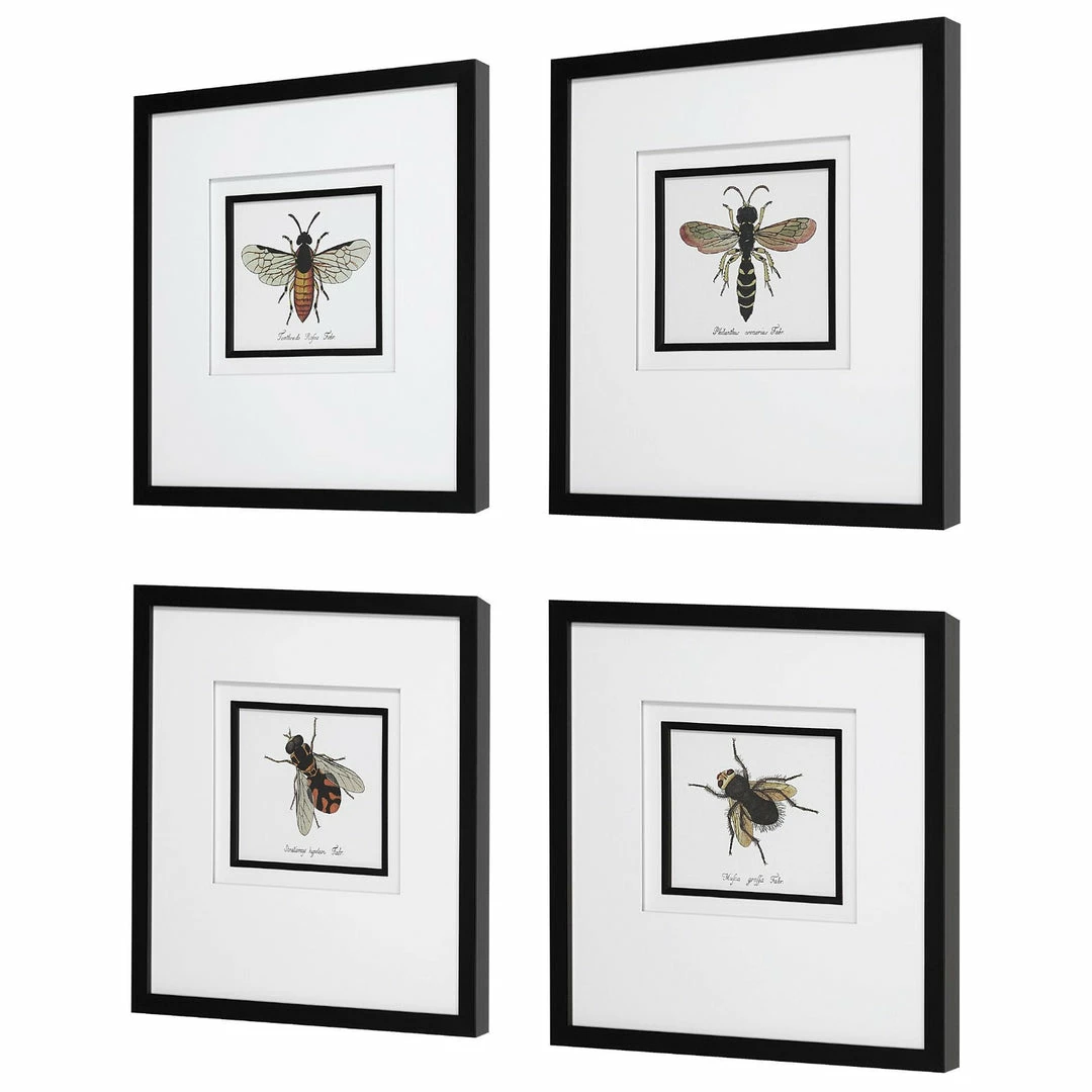 Outlet 🎁 UTTERMOST "ANTHOPHILA" GLASS FRAMED PRINTS | SET OF 4 ✨ 5 UTTERMOST "ANTHOPHILA" GLASS FRAMED PRINTS | SET OF 4