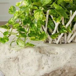 Cheap π PHILLIPS COLLECTION NATURAL STICK BOWL Accessories π 8 PHILLIPS COLLECTION NATURAL STICK BOWL Accessories