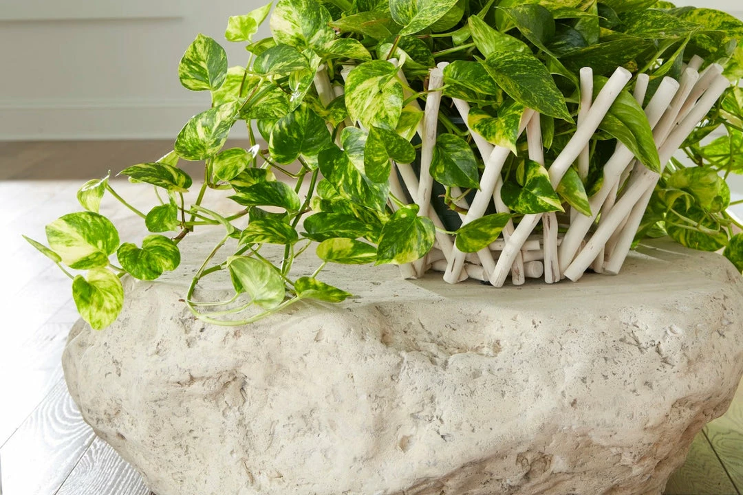 Cheap π PHILLIPS COLLECTION NATURAL STICK BOWL Accessories π 4 PHILLIPS COLLECTION NATURAL STICK BOWL Accessories