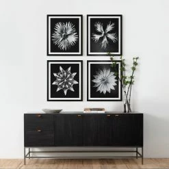 UTTERMOST Wall Art "CONTEMPORARY FLORET" GLASS FRAMED PRINTS | SET OF 4