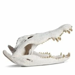 PHILLIPS COLLECTION CROCODILE SKULL SCULPTURE: WHITE, GOLD