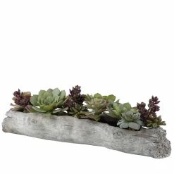 UTTERMOST DRIFTWOOD LOG SUCCULENT CENTERPIECE