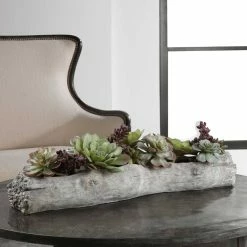 UTTERMOST DRIFTWOOD LOG SUCCULENT CENTERPIECE