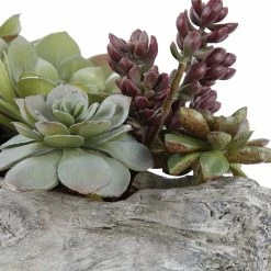 UTTERMOST DRIFTWOOD LOG SUCCULENT CENTERPIECE
