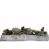 UTTERMOST DRIFTWOOD LOG SUCCULENT CENTERPIECE
