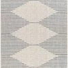 SURYA YOKI OUTDOOR RUG: BLUE + WHITE