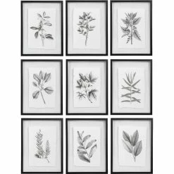 UTTERMOST Wall Art "FARMHOUSE FLORALS" BLACK+WHITE GLASS FRAMED PRINTS | SET OF 9