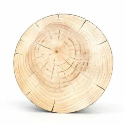 FOUR HANDS INEZ BLACK PINE DRUM TABLE