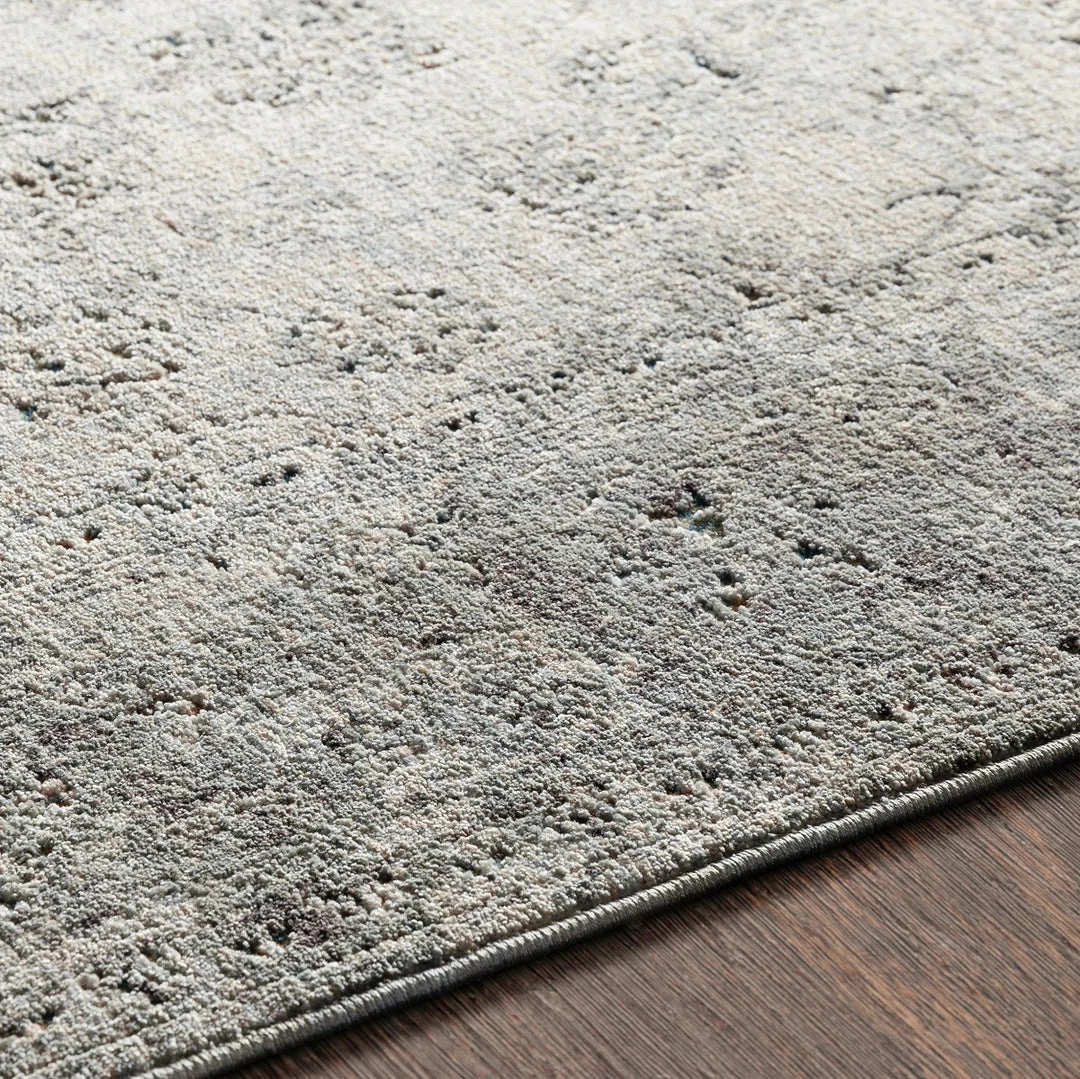New ๐งจ SURYA ERYNN RUG: SILVER, STONE, MULTI ๐ 5 SURYA ERYNN RUG: SILVER, STONE, MULTI