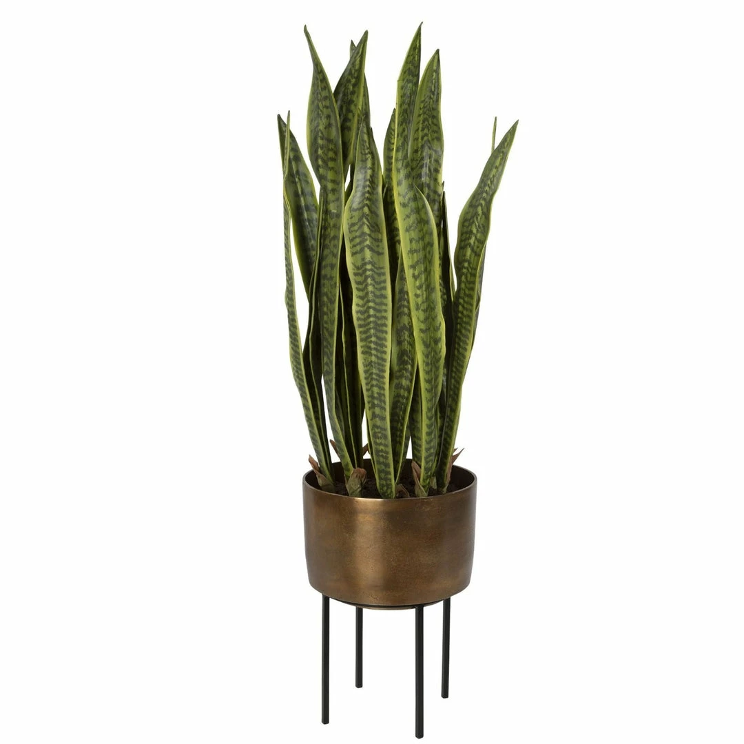 Flash Sale π― UTTERMOST Pillows + Decor POTTED FASITA PLANT ON STAND βοΈ 1 UTTERMOST Pillows + Decor POTTED FASITA PLANT ON STAND
