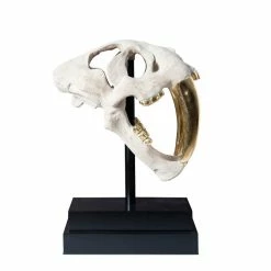 PHILLIPS COLLECTION SABER TOOTH SKULL SCULPTURE: WHITE, GOLD