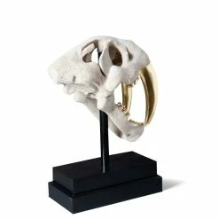 PHILLIPS COLLECTION SABER TOOTH SKULL SCULPTURE: WHITE, GOLD
