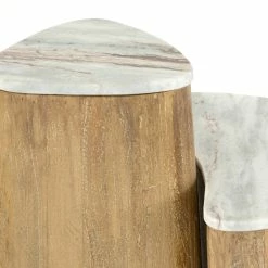 FOUR HANDS SUNWASHED MANGO NESTING TABLES