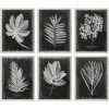 UTTERMOST "VINTAGE FOLIAGE" GLASS FRAMED PRINTS | SET OF 6