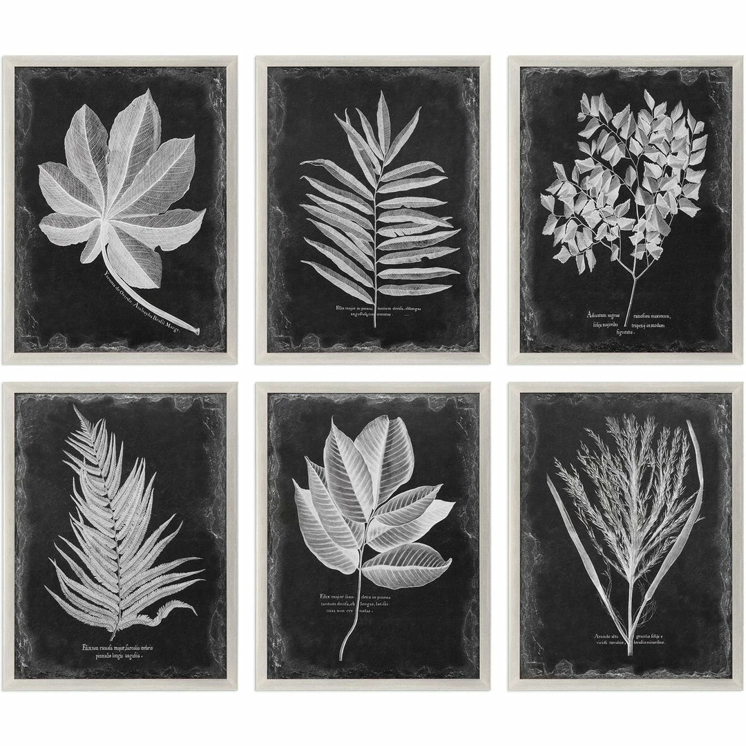 Budget π UTTERMOST "VINTAGE FOLIAGE" GLASS FRAMED PRINTS | SET OF 6 π 1 UTTERMOST "VINTAGE FOLIAGE" GLASS FRAMED PRINTS | SET OF 6