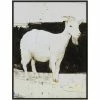 L ART "WHITE GOAT" CANVAS ART Wall Art