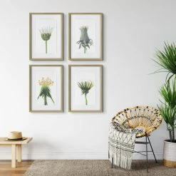 UTTERMOST Wall Art "WILDFLOWERS" GLASS FRAMED PRINTS | SET OF 4