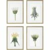 UTTERMOST Wall Art "WILDFLOWERS" GLASS FRAMED PRINTS | SET OF 4