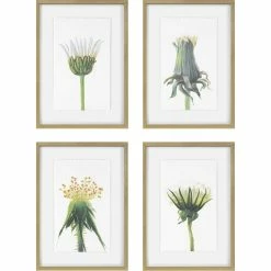 UTTERMOST Wall Art "WILDFLOWERS" GLASS FRAMED PRINTS | SET OF 4