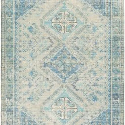 SURYA NEVAEH DISTRESSED VINTAGE PRINT RUG: AQUA