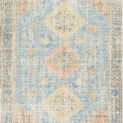 SURYA NEVAEH DISTRESSED VINTAGE PRINT RUG: BLUE, ORANGE
